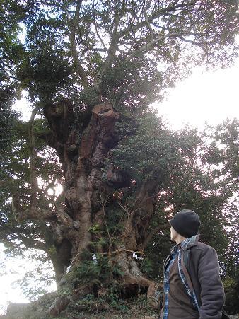 感謝の気持ち