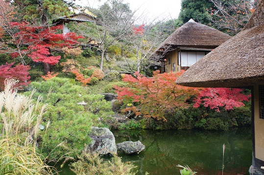 2016京都珍道中④