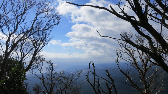 トレッキング部の天城山3