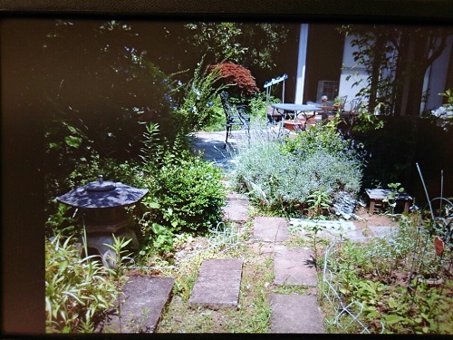 宿根草のお庭 撮影に行きました ランド ガーデン スタッフブログ ガーデン日和