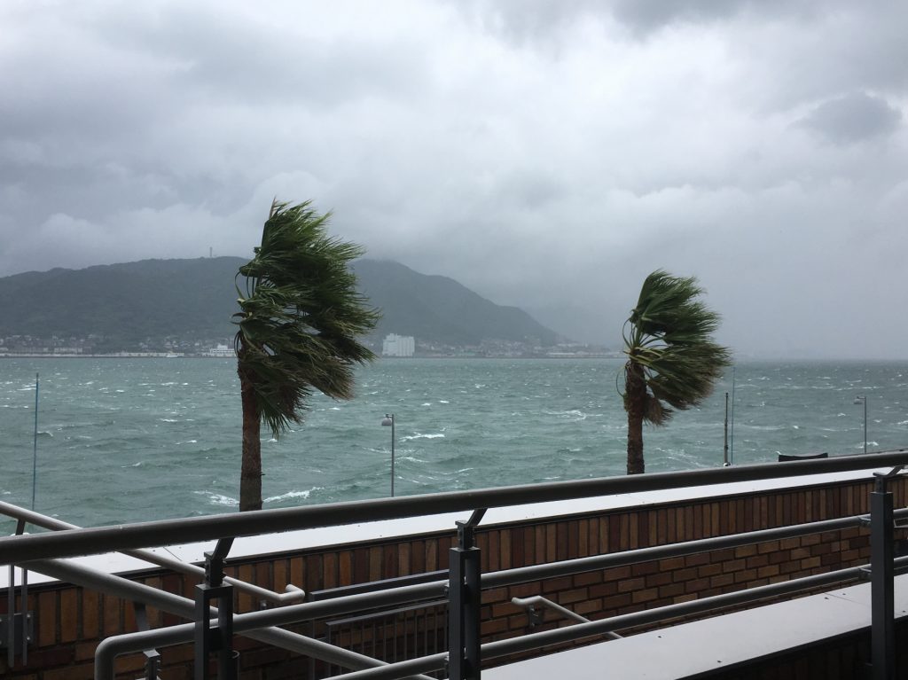 台風後のお庭のお手入れ