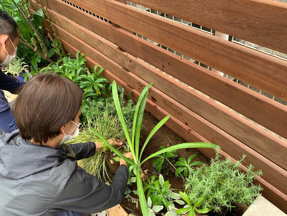 植栽作業