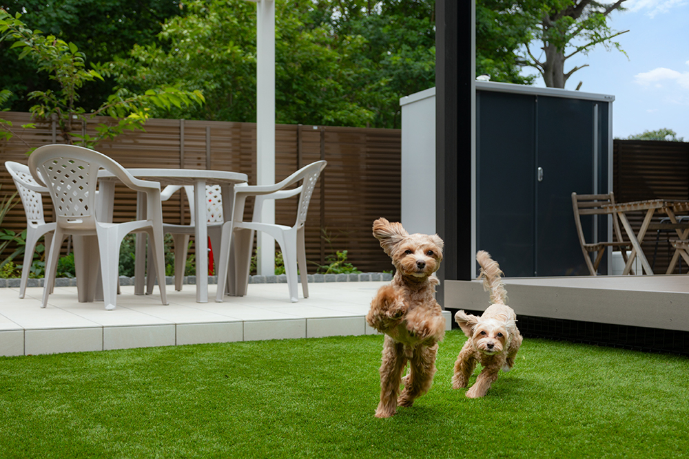 【新着事例】愛犬と過ごす、くつろぎのプライベートガーデン