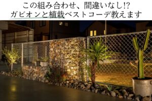 この組み合わせ、間違いなし!? ガビオンと植栽ベストコーデ教えます