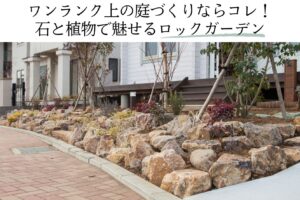 ワンランク上の庭づくりならコレ！ 石と植物で魅せるロックガーデン