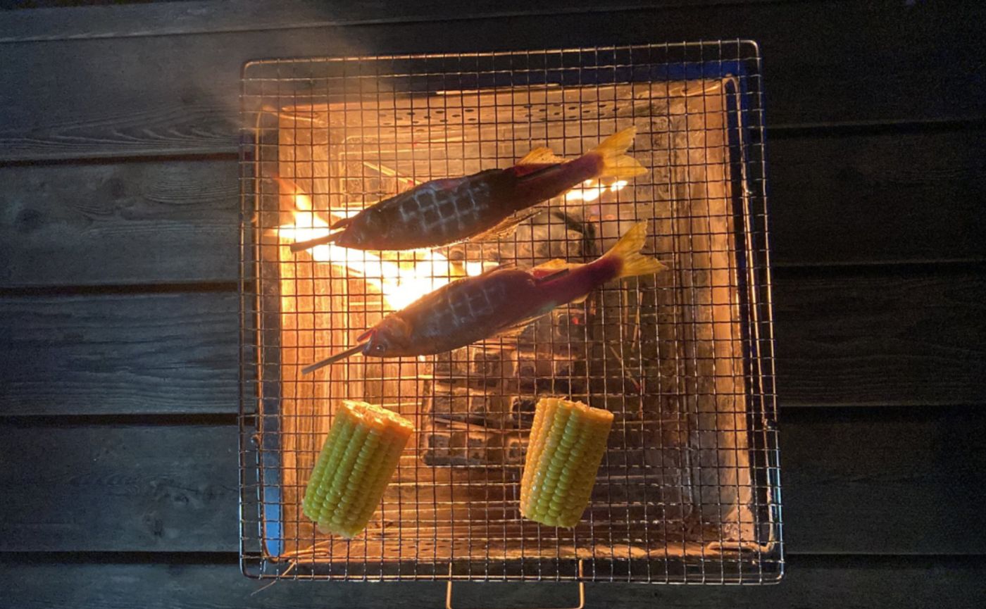 焚き火シートのないグリル