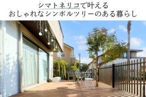 シマトネリコで叶える おしゃれなシンボルツリーのある暮らし
