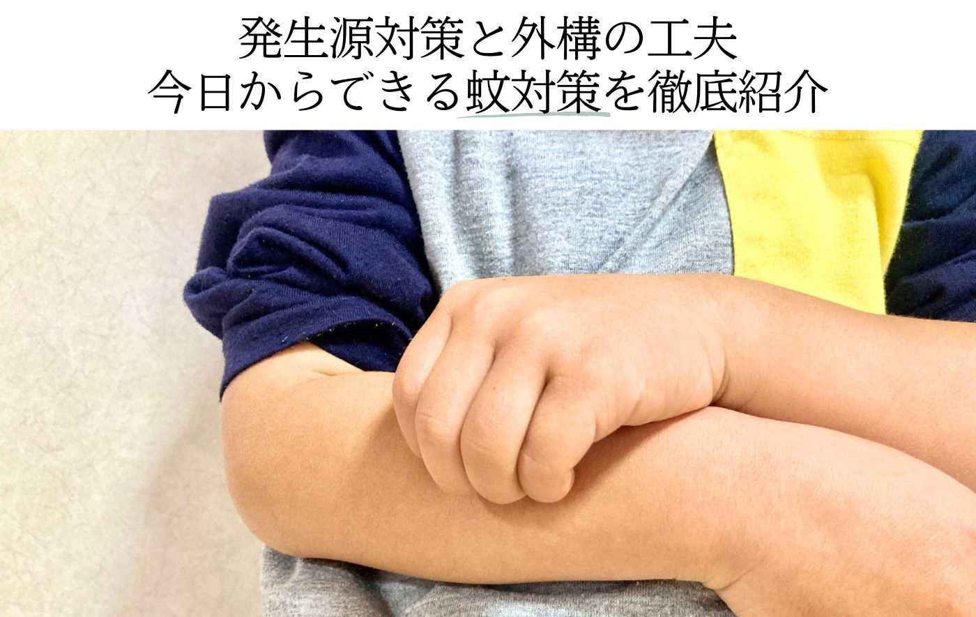 発生源対策と外構の工夫 今日からできる蚊対策
