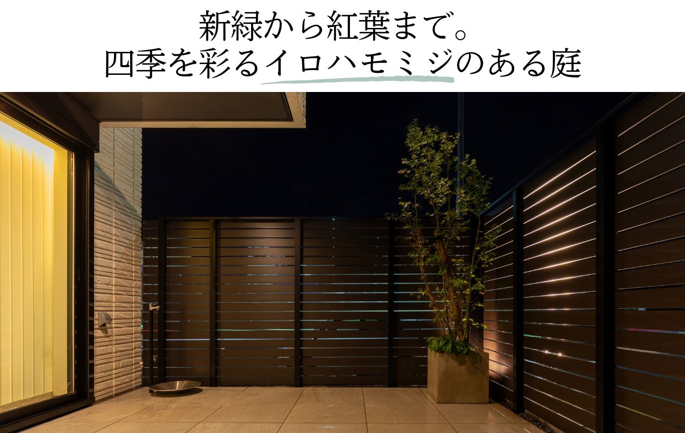 新緑から紅葉まで。 四季を彩るイロハモミジのある庭