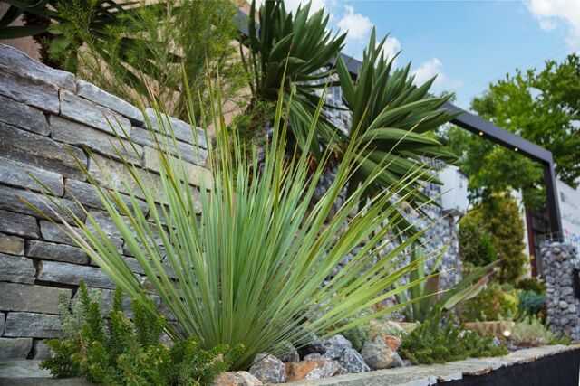 ドライガーデン | ランド・ガーデン｜千葉県の造園、外構