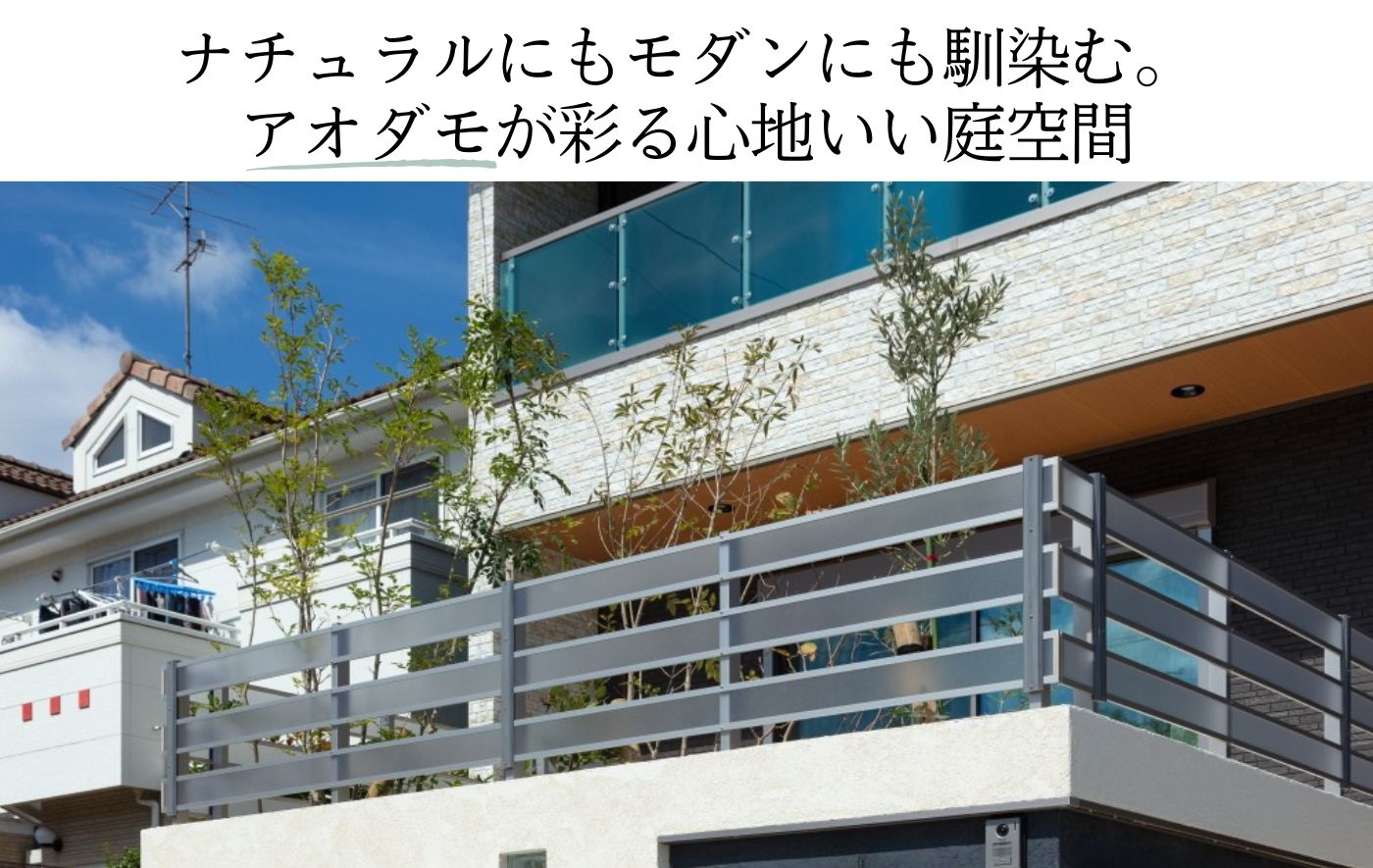 ナチュラルにもモダンにも馴染む。 アオダモが彩る心地いい庭空間