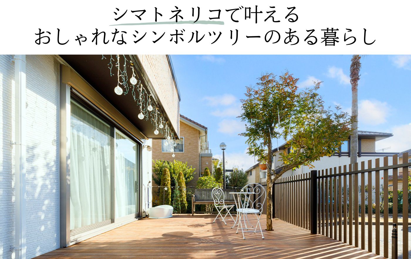 シマトネリコで叶える おしゃれなシンボルツリーのある暮らし